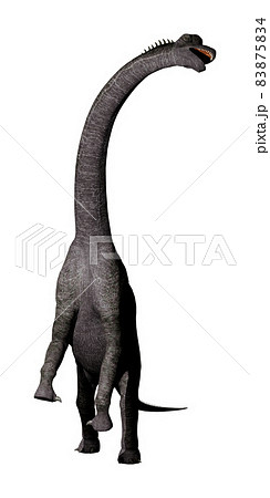 ブラキオサウルス☆Brachiosaurus 83875834
