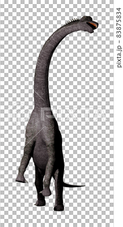 ブラキオサウルス☆Brachiosaurus 83875834