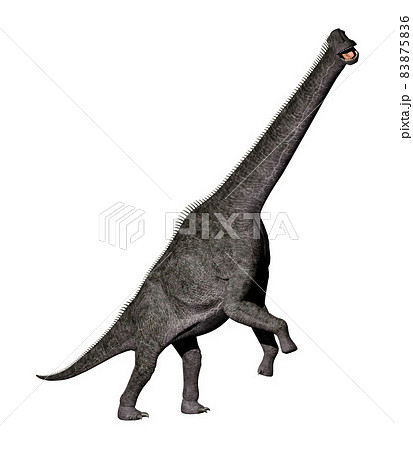 ブラキオサウルス☆Brachiosaurus ブラキオサウルス☆Brachiosaurus 83875836