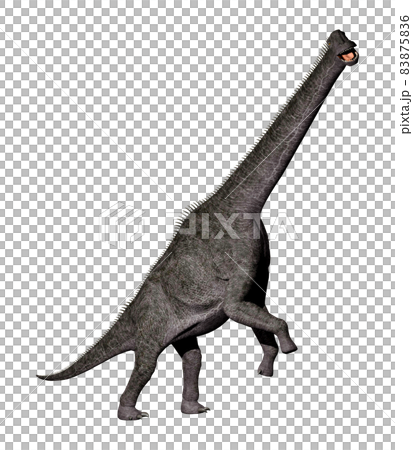 ブラキオサウルス☆Brachiosaurus ブラキオサウルス☆Brachiosaurus 83875836