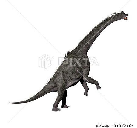 ブラキオサウルス☆Brachiosaurus 83875837