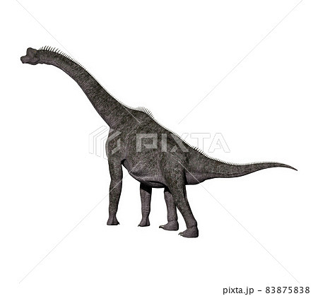 ブラキオサウルス☆Brachiosaurus ブラキオサウルス☆Brachiosaurus 83875838