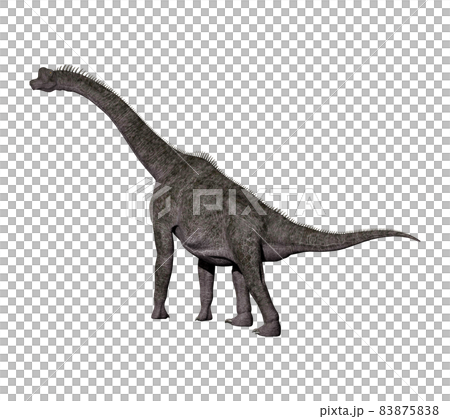 ブラキオサウルス☆Brachiosaurus ブラキオサウルス☆Brachiosaurus 83875838