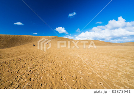 鳥取砂丘と観光客 83875941