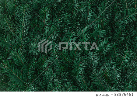 Natural fir tree branches texture winter pattern 83876461