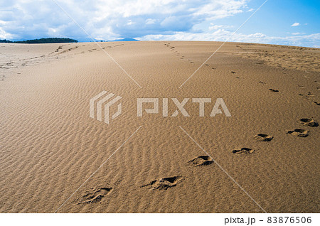 鳥取砂丘に残る足跡と砂模様 83876506