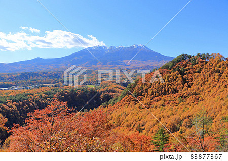 秋の開田高原九蔵峠から望む冠雪した御岳山 83877367