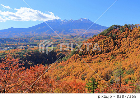 秋の開田高原九蔵峠から望む冠雪した御岳山 83877368
