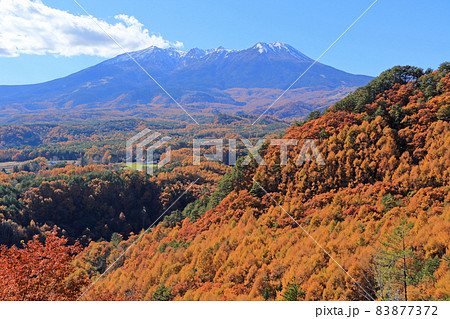 秋の開田高原九蔵峠から望む冠雪した御岳山 秋の開田高原九蔵峠から望む冠雪した御岳山 83877372