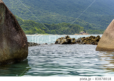 Beach and tropical forest in Trindade, Paraty Beach and tropical forest in Trindade, Paraty 83878018