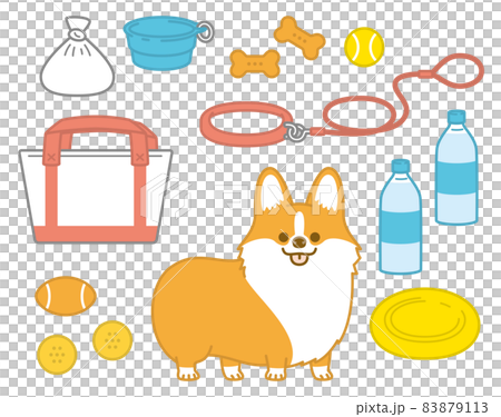 Welsh corgi to take a walk Welsh corgi to take a walk 83879113