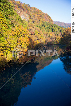 秋の四万湖 群馬県中之条町 秋の四万湖 群馬県中之条町 83879206