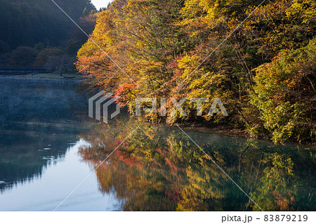 秋の四万湖 群馬県中之条町 秋の四万湖 群馬県中之条町 83879219