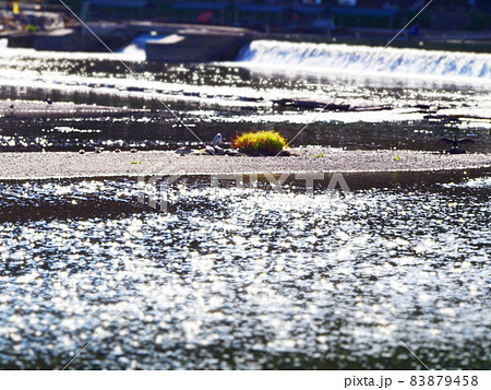 京都嵐山　渡月橋 83879458