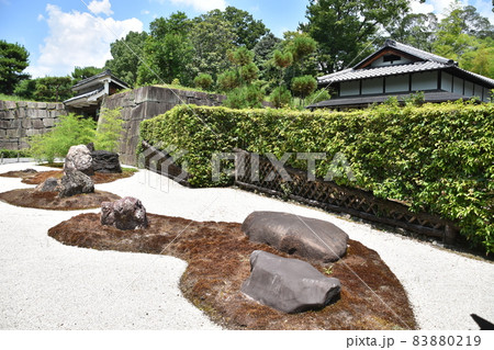 夏の京都 二条城の庭園風景 加茂七石 夏の京都 二条城の庭園風景 加茂七石 83880219