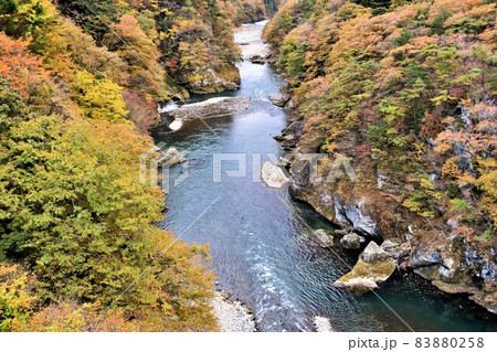 日光鬼怒川 鬼怒楯岩大吊橋からの紅葉 83880258