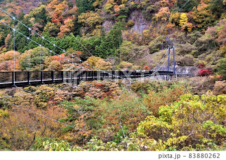 日光鬼怒川 鬼怒楯岩大吊橋と紅葉 日光鬼怒川 鬼怒楯岩大吊橋と紅葉 83880262