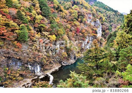 日光鬼怒川 鬼怒楯岩大吊橋からの紅葉 日光鬼怒川 鬼怒楯岩大吊橋からの紅葉 83880266