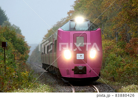 HOKKAIDO LOVE! ひとめぐり号　キハ261系はまなす編成　はまなす編成 83880426