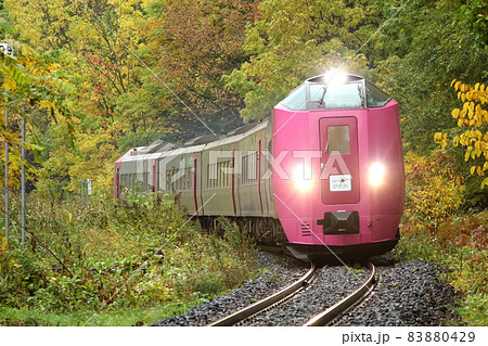 HOKKAIDO LOVE! ひとめぐり号　キハ261系はまなす編成　はまなす編成 83880429