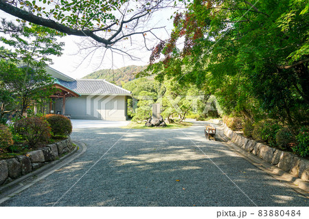 葉山しおさい公園の葉山しおさい博物館(神奈川県葉山町) 葉山しおさい公園の葉山しおさい博物館(神奈川県葉山町) 83880484
