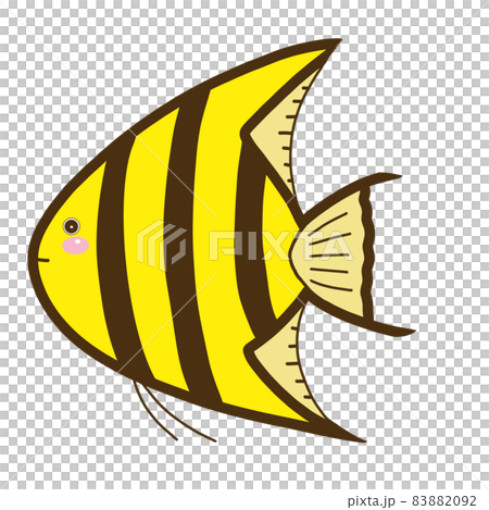 插圖素材 Fish_Angelfish 插圖素材 Fish_Angelfish 83882092