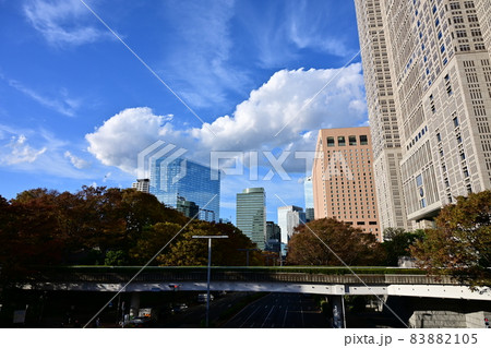高層ビルと秋の空　白い雲が流れる　紅葉する樹々　紅葉する木々　 83882105