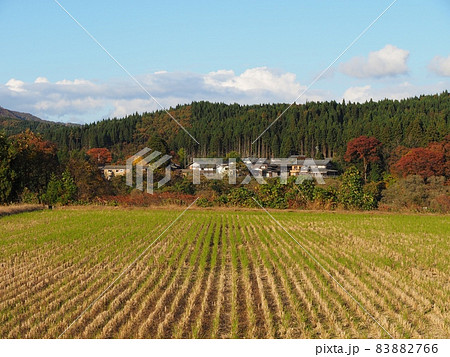 晩秋の田園風景【新潟県胎内市】 83882766