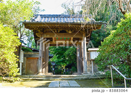鎌倉 安国論寺の山門 鎌倉 安国論寺の山門 83883064