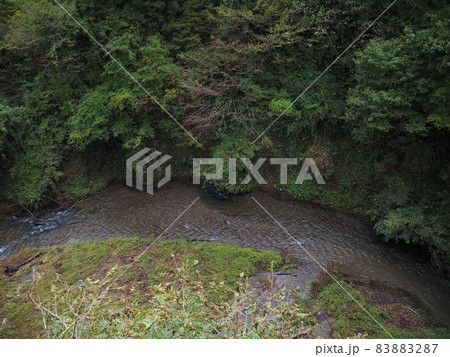 秋の清流・鹿ノ俣川【新潟県胎内市】 83883287