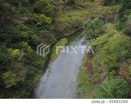 秋の清流・鹿ノ俣川【新潟県胎内市】 秋の清流・鹿ノ俣川【新潟県胎内市】 83883289