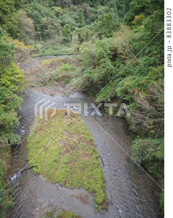 秋の清流・鹿ノ俣川【新潟県胎内市】 秋の清流・鹿ノ俣川【新潟県胎内市】 83883302
