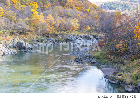 北海道の紅葉 北海道の紅葉 83883759