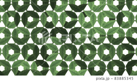 Seamless green floral pattern - file includes pattern swatch 83885345