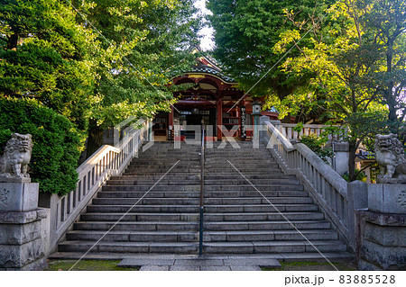 待乳山聖天 本堂前 石段 待乳山聖天 本堂前 石段 83885528