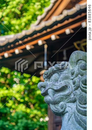 狛犬　浅草　待乳山聖天 83885646