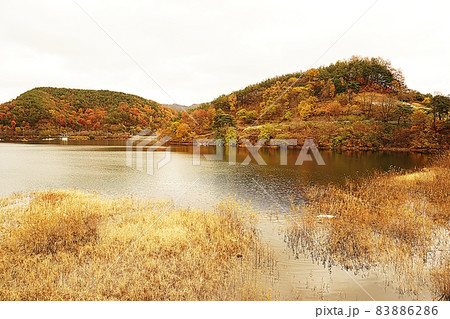 横 アジア 韓国 83886286