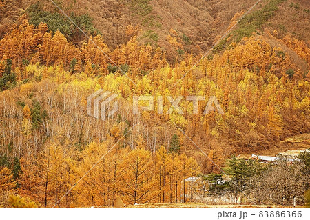 横 アジア 韓国 83886366