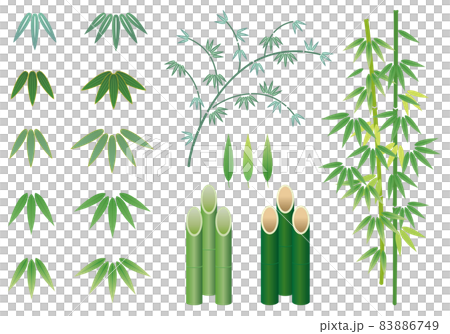 New Year / Tanabata bamboo leaf set 83886749