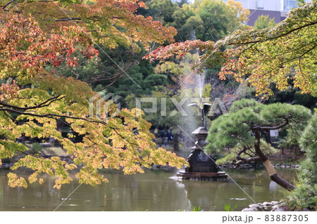 紅葉と庭園 紅葉と庭園 83887305