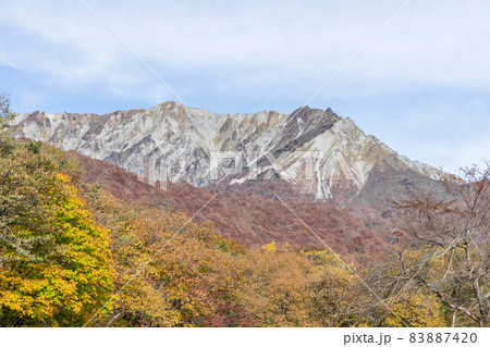 大山の紅葉 83887420