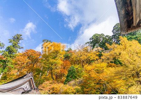 大神山神社 83887649