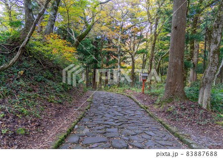 大神山神社 83887688