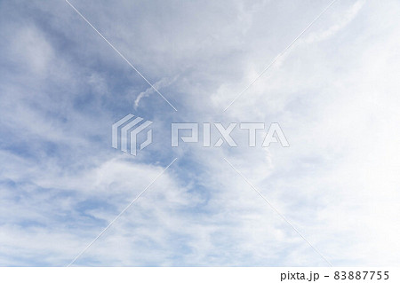 空 空 83887755