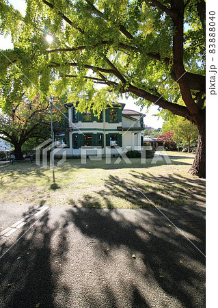 秋のブラフ18番館 秋のブラフ18番館 83888040