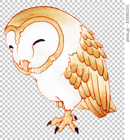 かわいいメンフクロウのマーカー画イラストのイラスト素材 8101