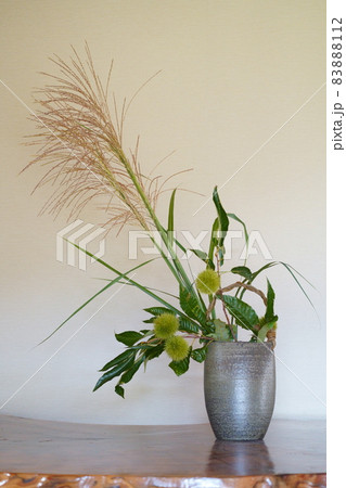 花瓶に飾られたススキといが栗 83888112