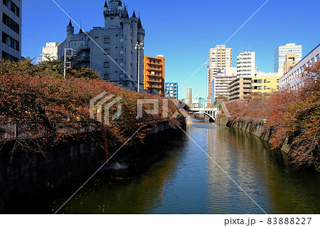 目黒川の紅葉（太鼓橋より望む） 83888227