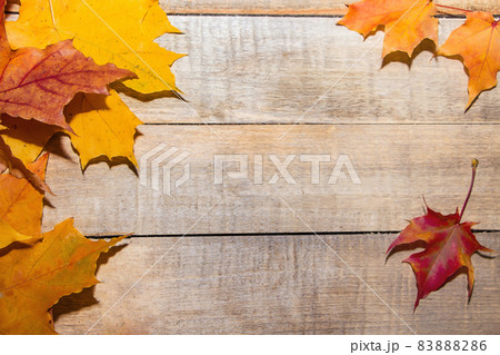 Yellow and red autumn leaves on a light wooden background. Place for text Yellow and red autumn leaves on a light wooden background. Place for text 83888286