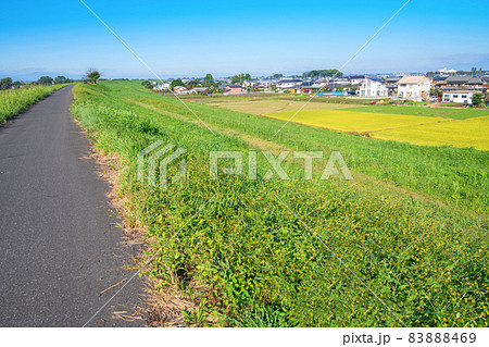 利根大堰付近　初秋の風景　利根川土手からの景色　千代田町方面 83888469